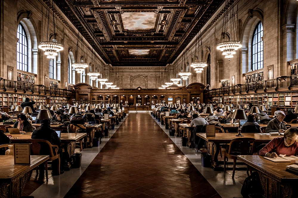 Everything You Need to Know About MD-PhD Programs